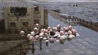 Politicians overcome by floods in global-warming debate - maybe?