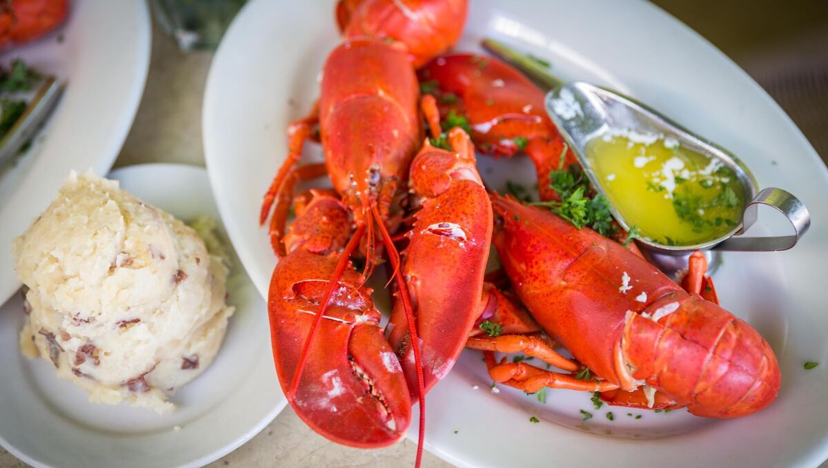 It's cruel to throw live lobsters into boiling water. It's cruel to throw live lobsters into boiling water.