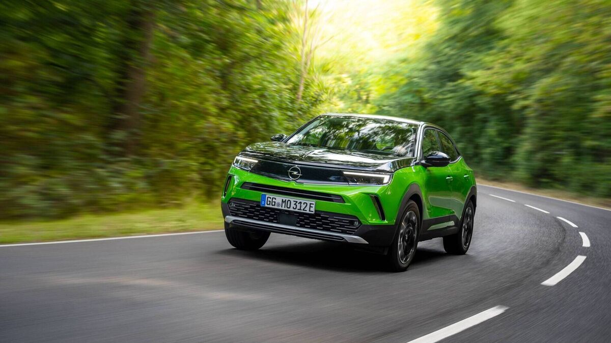 From Mokka to Mini: Reviews that didn't make the page in 2021 - Vimarsana News