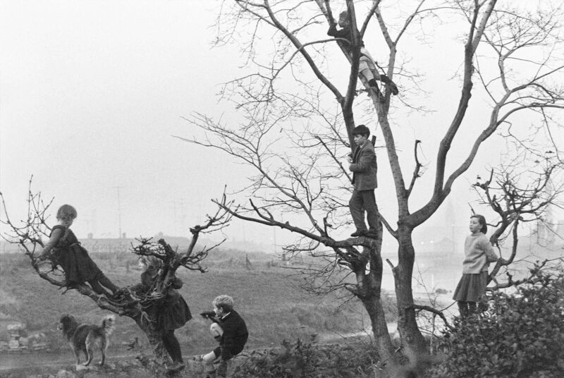 Children by the Canal, by Alen MacWeeney, from the book, My Dublin 1963, My Dubliners 2020. Picture: courtesy of UCC