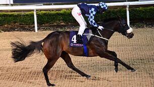 <p>Knocklane Lass and Colin Keane win the Irish EBF Median Sires Series Fillies Maiden at Dundalk earlier this month. Photo: Healy Racing</p>