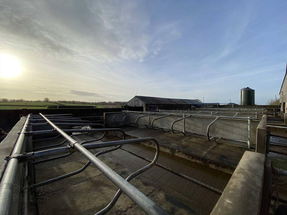 Outdoor cubicles at Breska House, Co Limerick