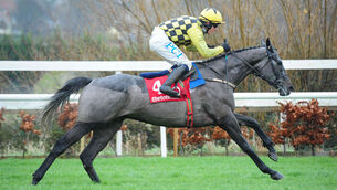 <p>Gaillard Du Mesnil and Paul Townend winning the Tote.ie Maiden Hurdle at Leopardstown in December 2020. Picture: Healy Racing</p>