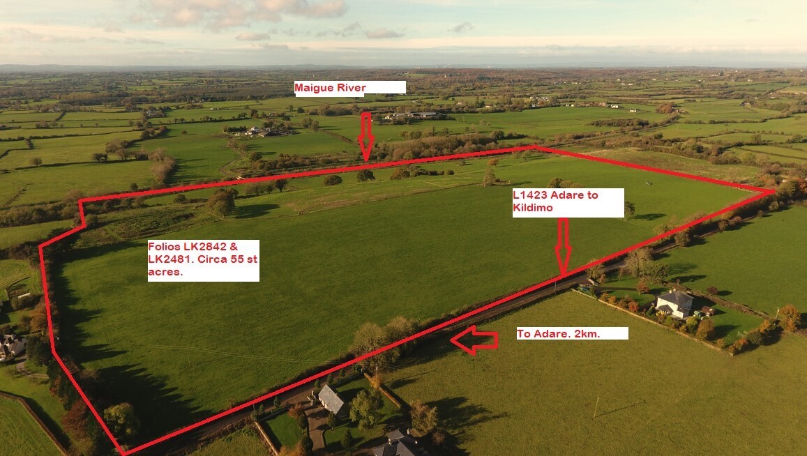 Adare farm with road frontage achieve €15k per acre