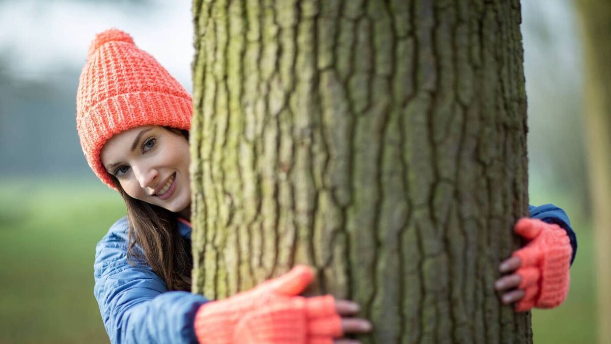 Why a winter walk is the best way to boost your mood and energy - Vimarsana News