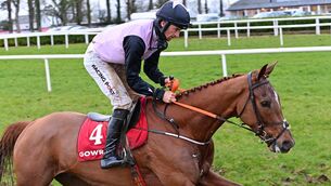 <p>Journey With Me and Patrick Mullins win the 'Doc's Bumper' Point-To-Point Flat Race at Gowran Park last March. Picture: Healy Racing.</p>