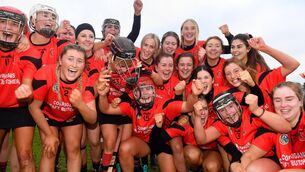 <p>CELEBRATION: Oulart players savour All-Ireland success.</p>