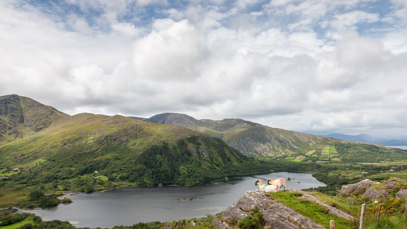 Islands of Ireland: Strawberry fields forever
