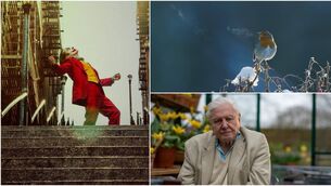 <p>Joker; A robin singing in winter. George Woodcock/Mike Birkhead Associates for Attenborough’s Wonder of Song</p>