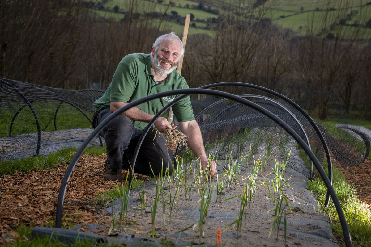 Thomas O'Connor of Manna Organic Farm: 'In supporting local food, you’re supporting local livelihoods.'