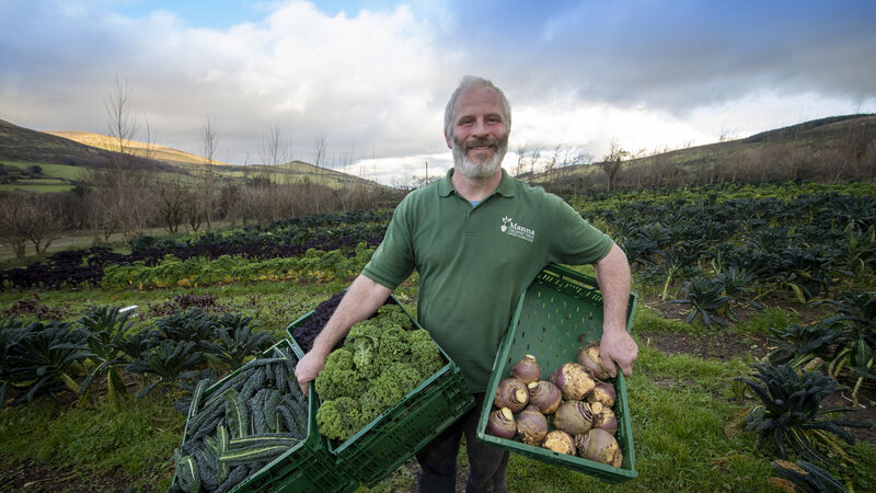 Meet the growers working hard to produce Ireland's Christmas spreads