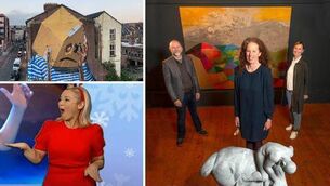 <p>Ardú's murals in Cork, acquisitions by the Crawford, and Amanda Coogan featured among the year's talking points. desart</p>
