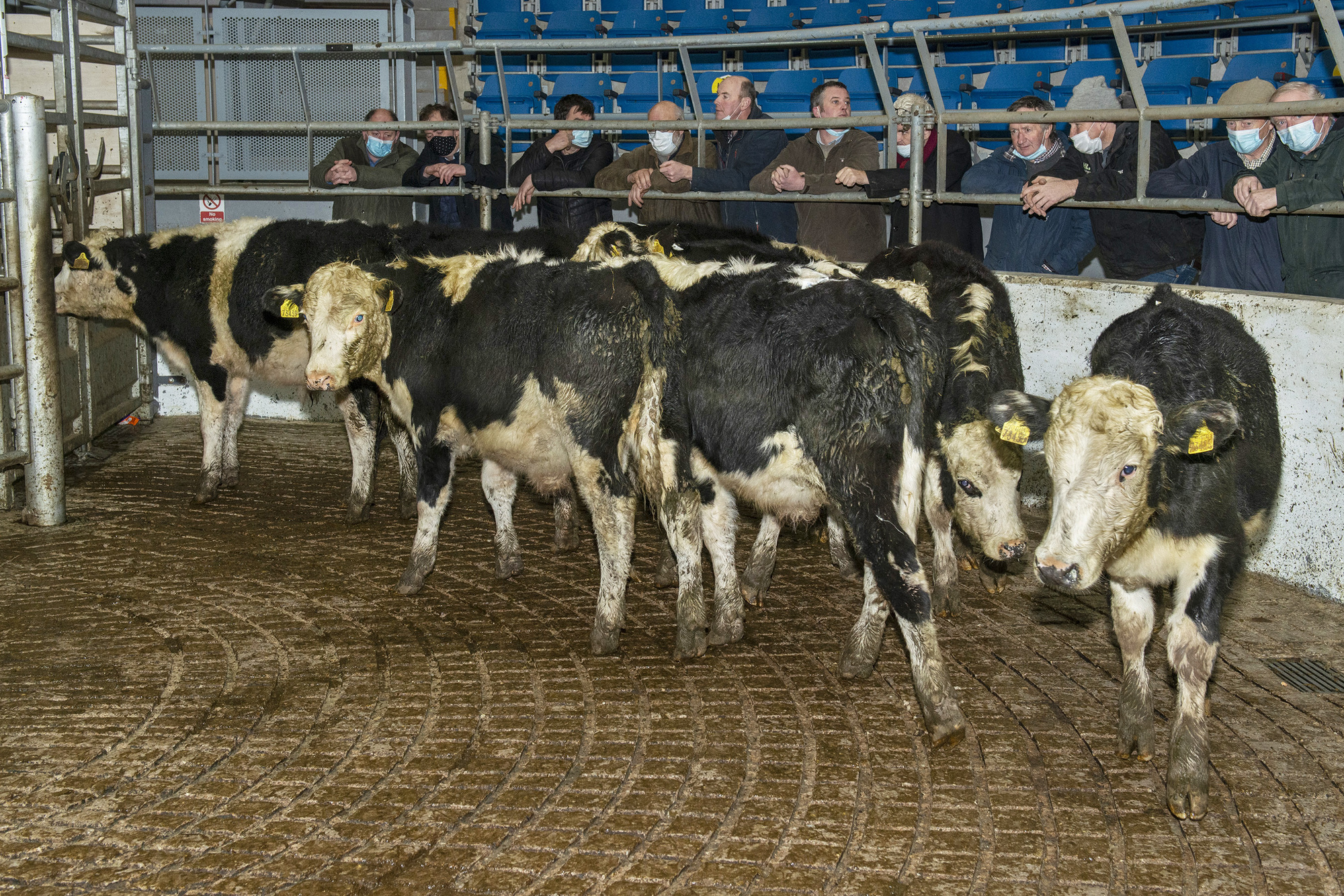 2021: An exceptional year on all counts - including beef prices