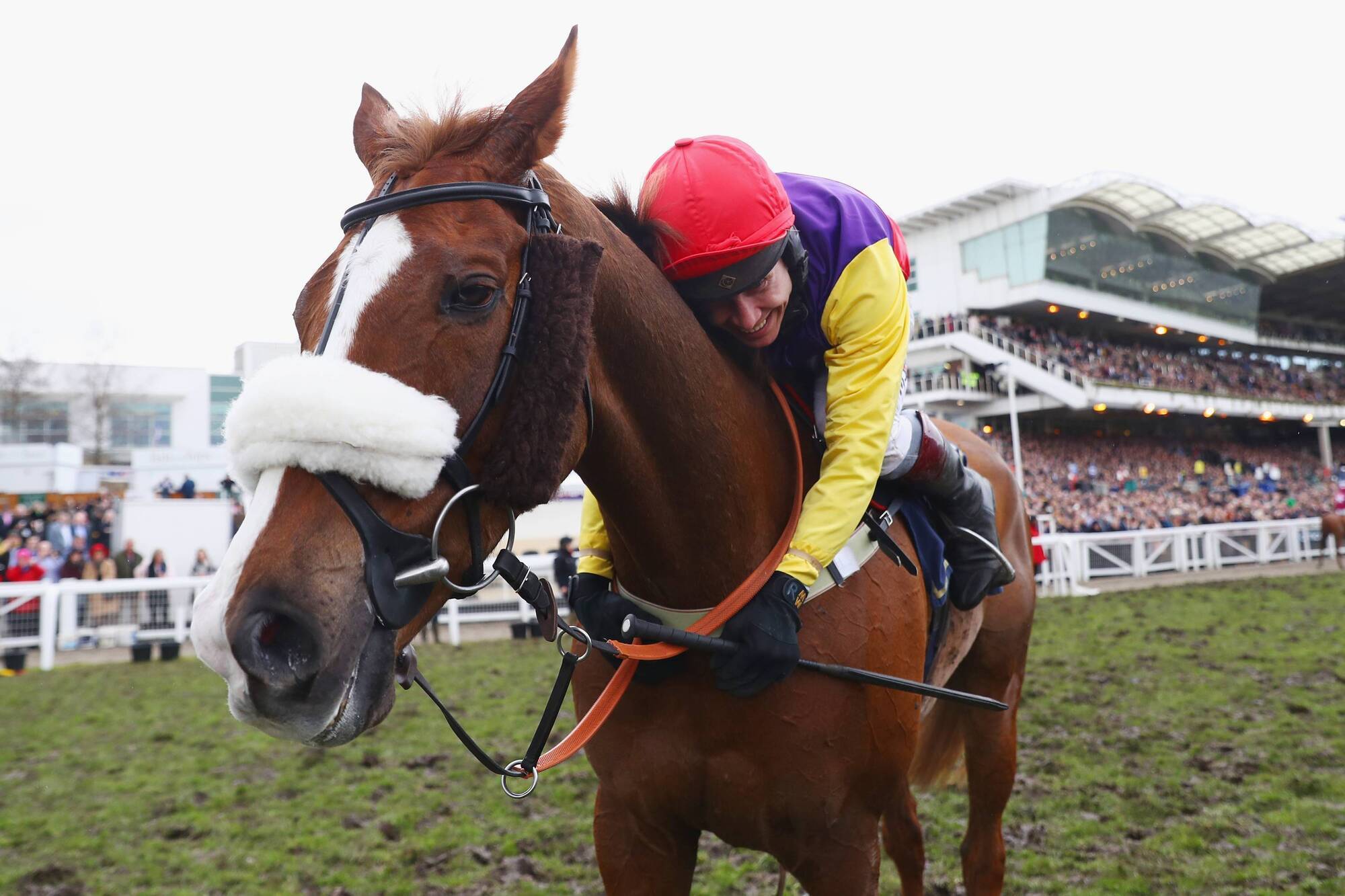 Cheltenham Gold Cup winner Native River heads to retirement