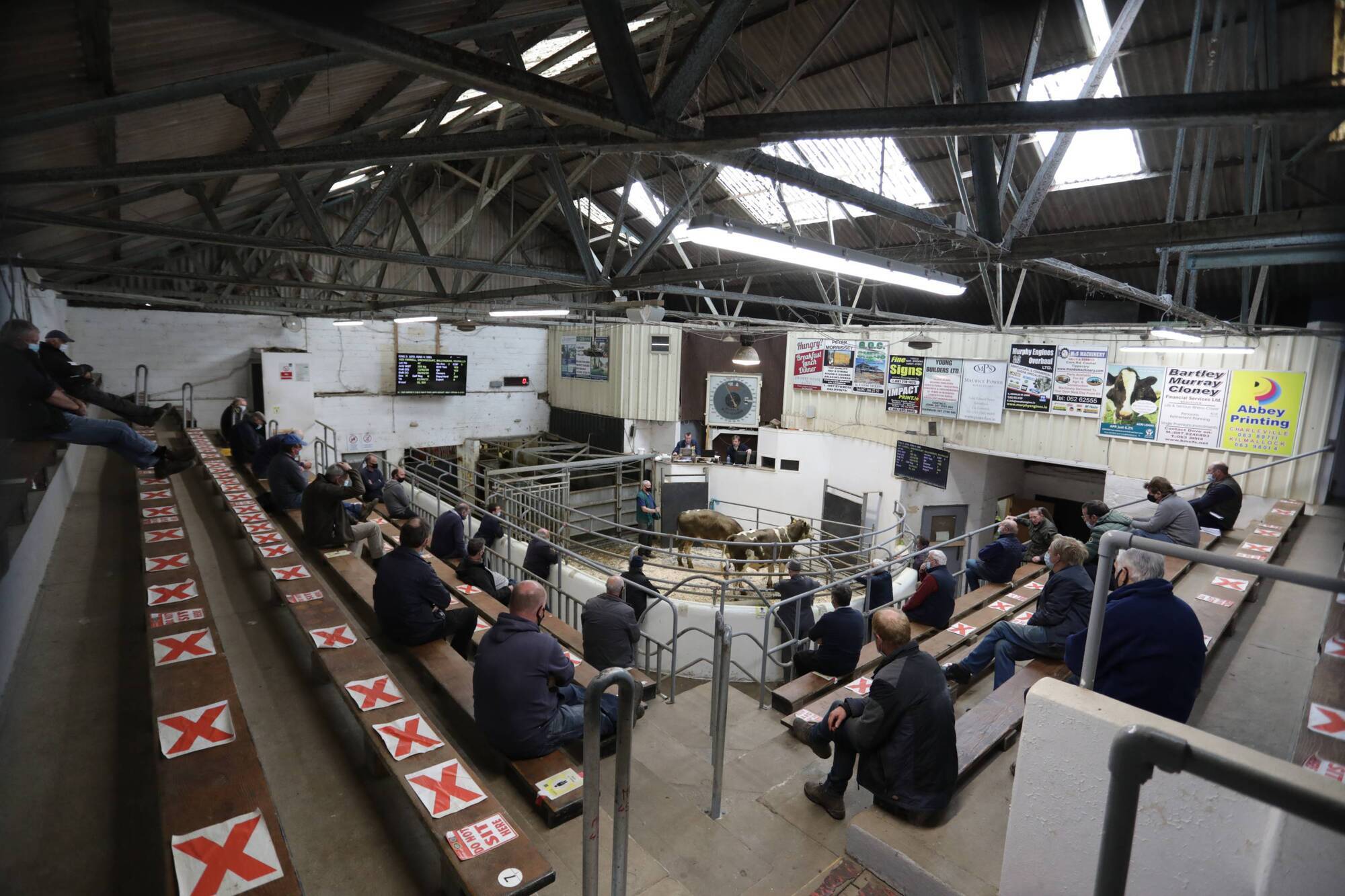 Denis Lehane's top tips for mart success in 2022