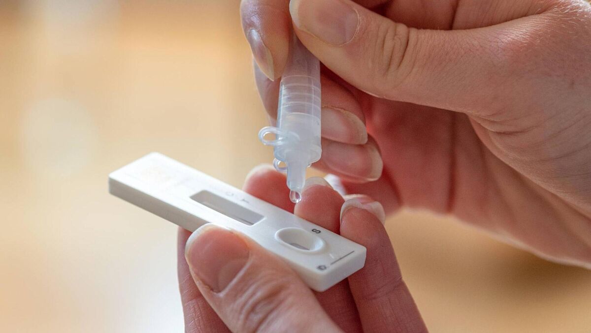 Dr Holohan and Nphet had consistently been criticised for warning against the widespread use of antigen testing, with Professor Philip Nolan of Nphet comparing some antigen tests to 'snake oil' remedies.