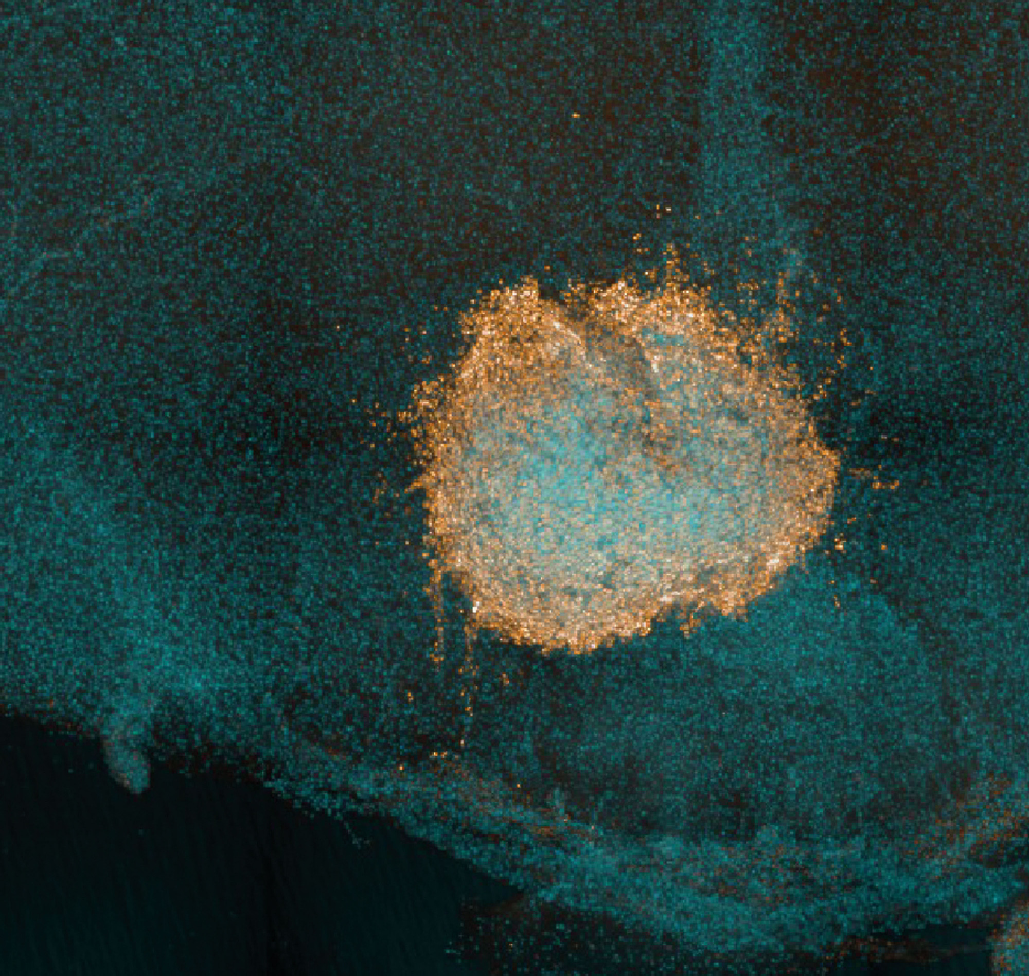 White blood cells of immune system can fight Omicron, says new study