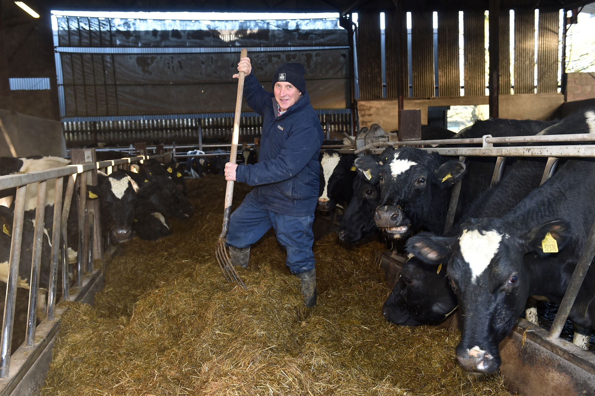 Signpost: Breeding for high-value milk rather than just volume