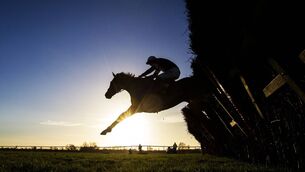 <p>Gorki D’airy is a huge sort, open to plenty of improvement, and there was plenty to like about the way he stuck to his task last time. File photo: PA</p>