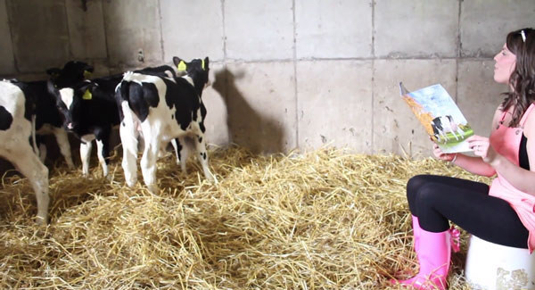 Wedding day milking: Bride takes a break to pitch in on the farm