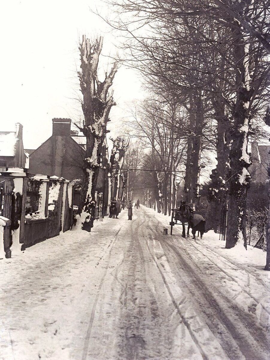 Snow on Cork city's Mardyke in 1947 Snow on Cork city's Mardyke in 1947