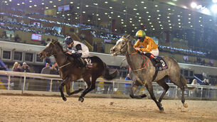 <p>No Nay Alexander and Ben Coen (far side) win for trainer Johnny Murtagh from Moshammer at Dundalk last month. Picture: Healy Racing</p>