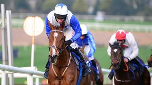 <p>Shantreusse and Derek O'Connor win the Next Race Meeting May 13th (Pro/Am) Flat Race at Clonmel. Picture: Healy Racing</p>