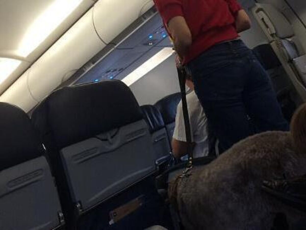 How Often Do Dogs Die On Planes