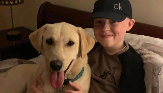 Continuing Cian's journey: Initiative will allow pets to visit sick children in hospital