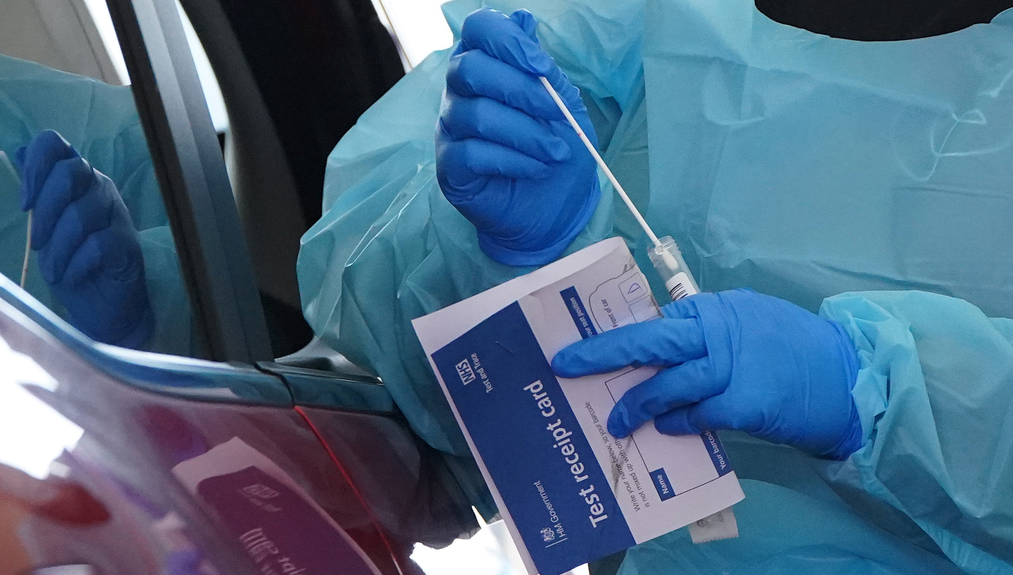 T cells from common cold could help ward off Covid-19, study finds