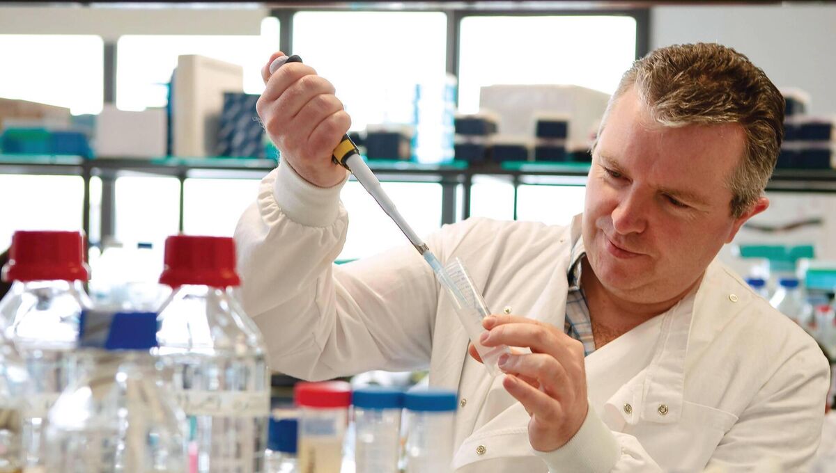 Professor Paul Moynagh says current measures are leading to a “wall of immunity”.