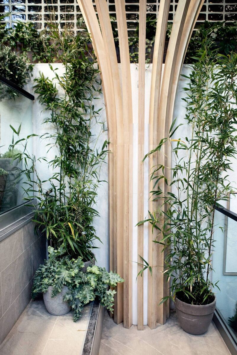 Interiors of Wren. Picture: Ruth Maria Murphy 