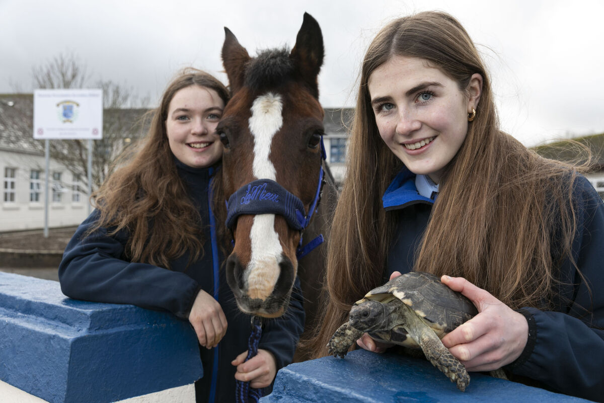 Amy Morrissey and MaryAnn Fitzgerald, 4th-year students at Patrician Presentation College, Fethard, Co Tipperary, showcased their project titled 'How have our pets helped us cope during the Covid pandemic' at the 58th BT Young Scientist & Technology Exhibition. Picture: Fennell Photography Amy Morrissey and MaryAnn Fitzgerald, 4th-year students at Patrician Presentation College, Fethard, Co Tipperary, showcased their project titled 'How have our pets helped us cope during the Covid pandemic' at the 58th BT Young Scientist & Technology Exhibition. Picture: Fennell Photography