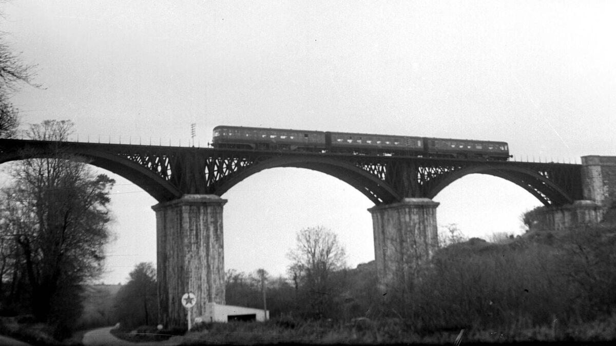 Restoration of West Cork railway would undo one of Ireland's 'biggest transport mistakes' - Vimarsana News
