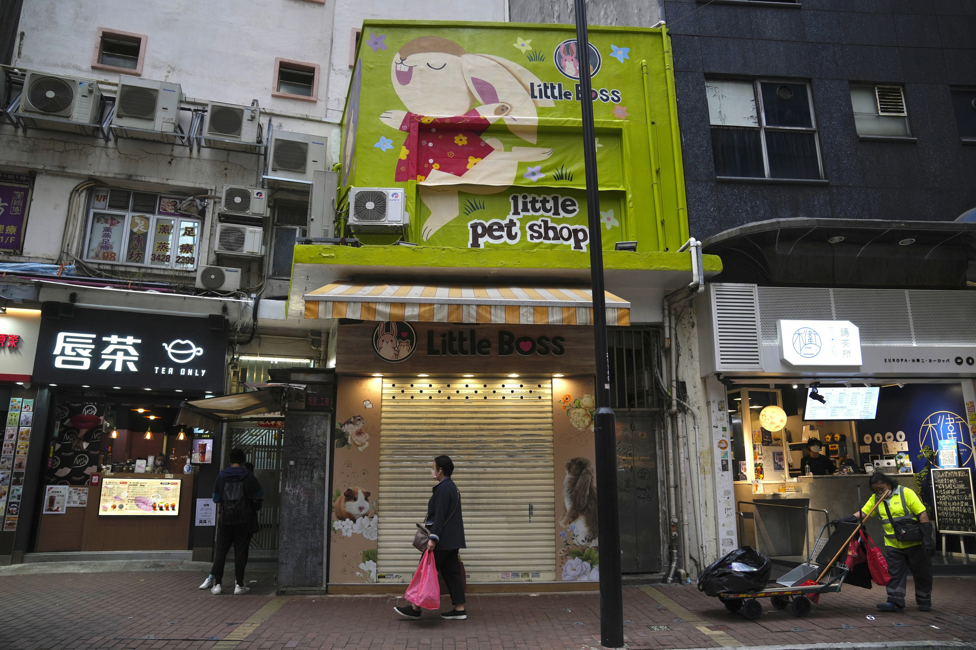 Hong Kong to cull hamsters after positive Covid tests