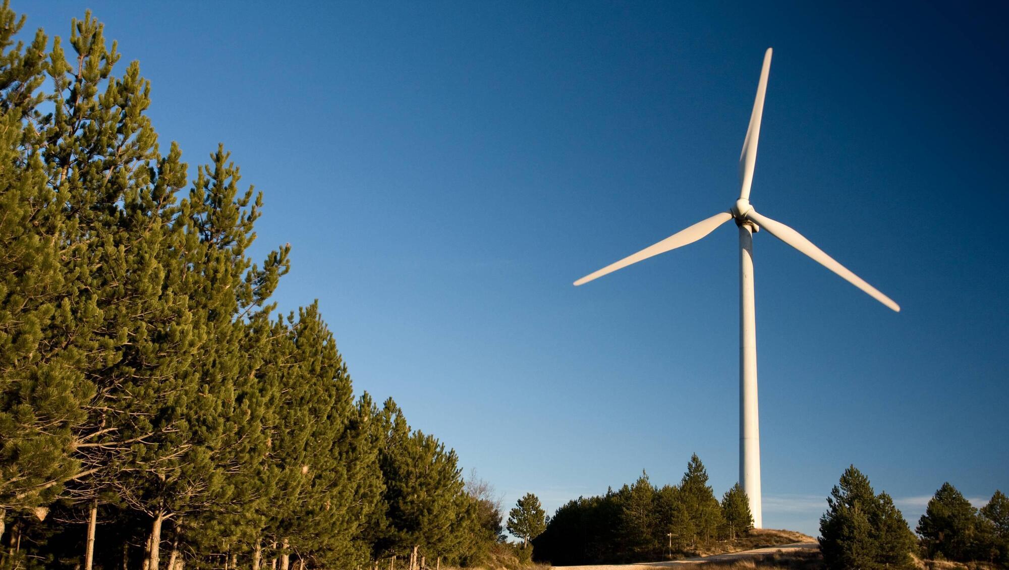 Enerco faces strong opposition to plans for Clare wind farm