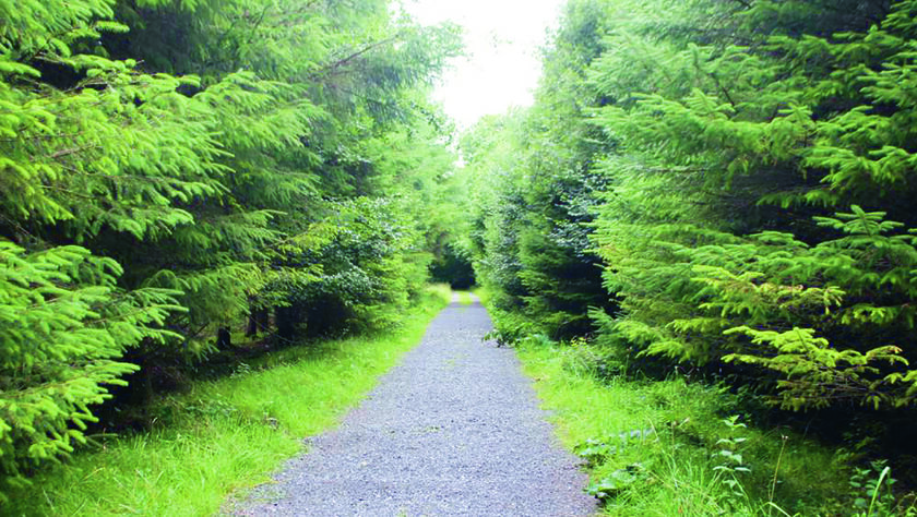 Aghrane Castlekelly Loop