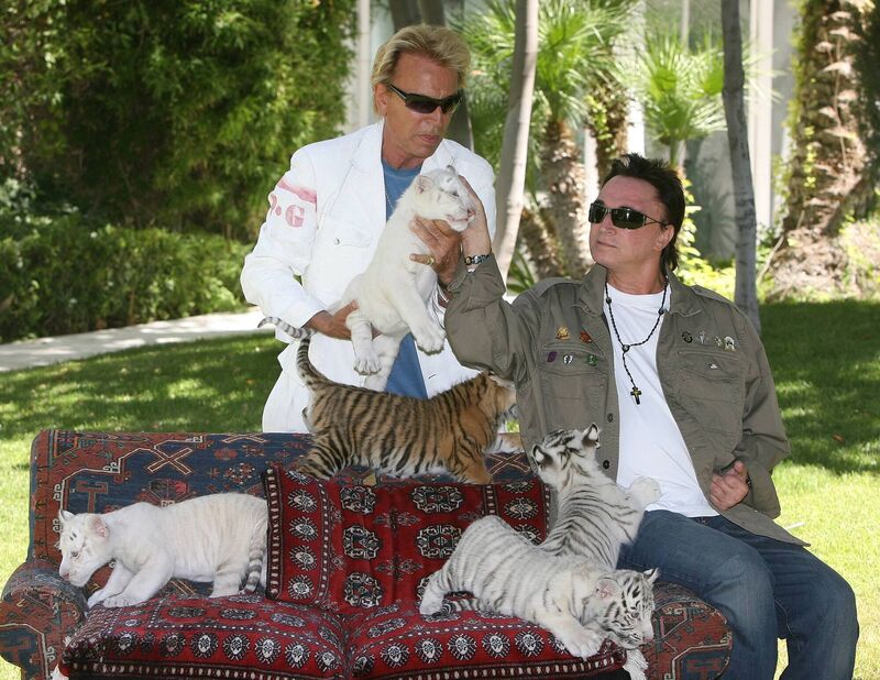 Illusionists Siegfried Fischbacher and Roy Horn appear with 6-week-old tiger cubs in June 2008 in Las Vegas, Nevada. Illusionists Siegfried Fischbacher and Roy Horn appear with 6-week-old tiger cubs in June 2008 in Las Vegas, Nevada.