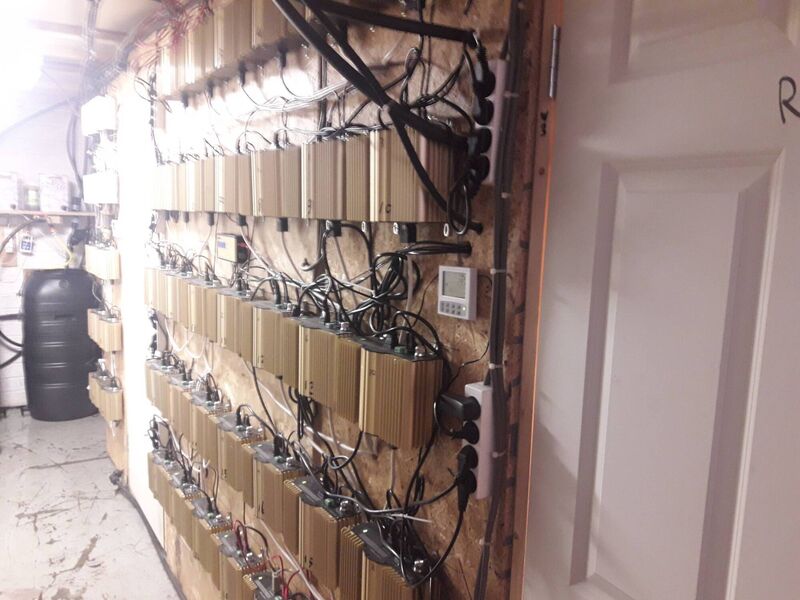 An open-plan area, past the false wall, was fitted as a growhouse containing thermometers and heaters. 