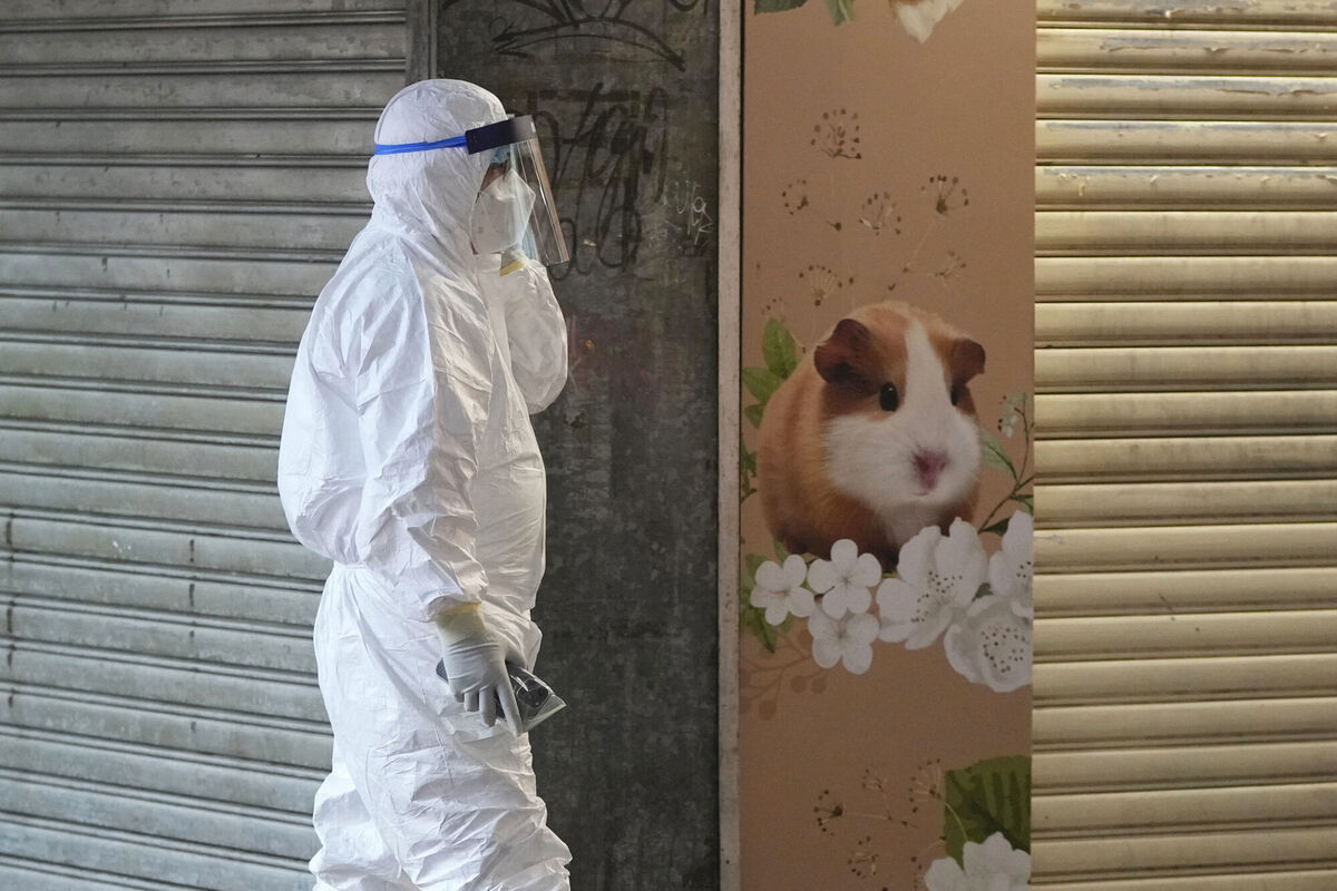 A staffer from the Agriculture, Fisheries and Conservation Department walks past a pet shop in Hong Kong, which was closed after some pet hamsters tested positive for the coronavirus.