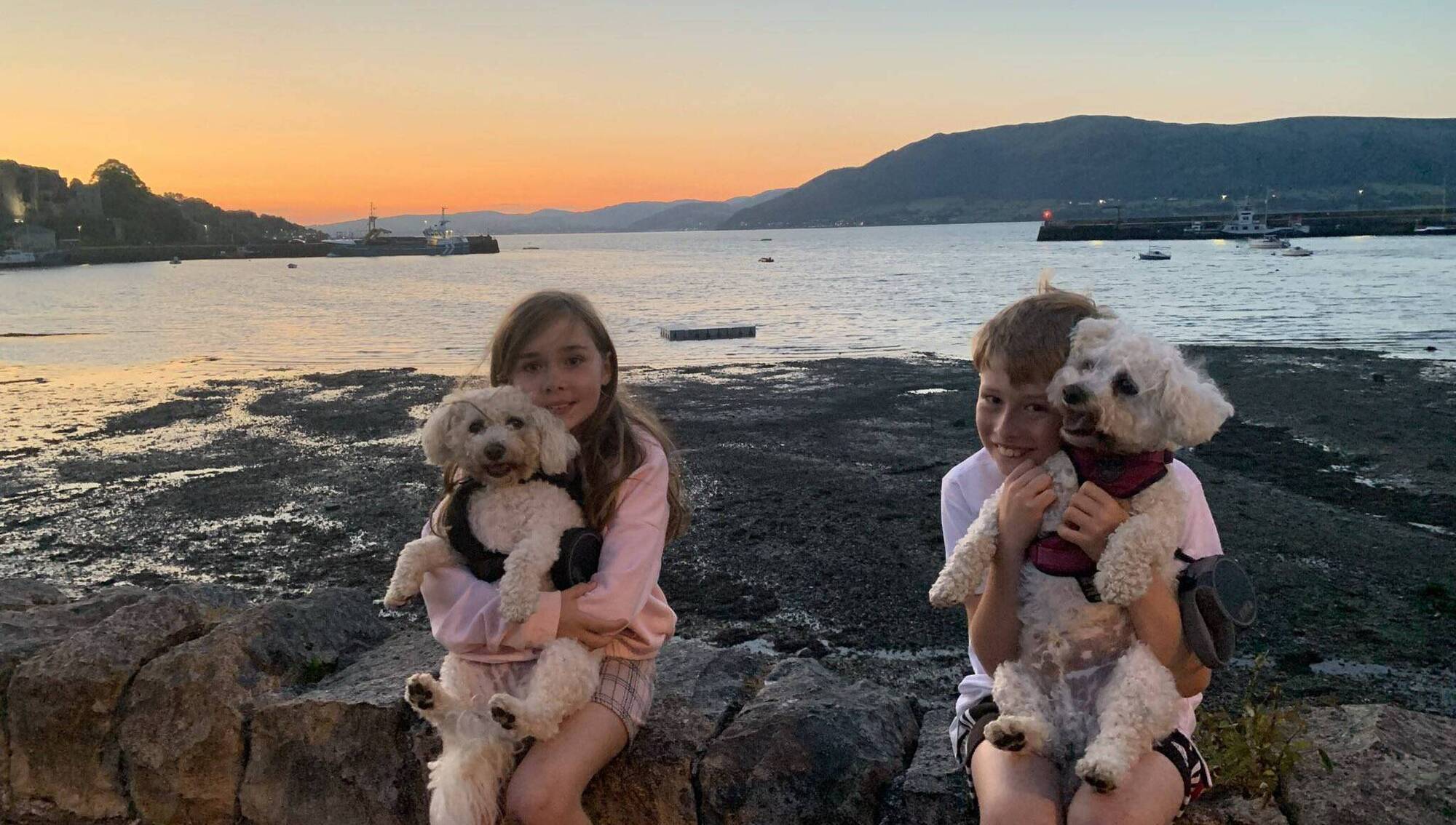‘I’m truly heartbroken’: Neven Maguire’s dog dies after being knocked down