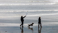 Plans to upgrade parking at popular Co Cork beach