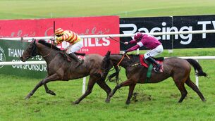 <p>Sams Profile and Philip Enright (far) wins the John Mulhern Galmoy Hurdle (Grade 2) from Diol Ker at Gowran Park last year. Ker can go one better today. Picture: Healy Racing</p>