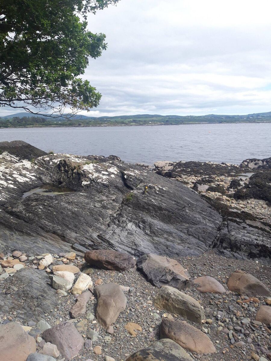 The Bantry Bay shoreline is a short walk away through woodland