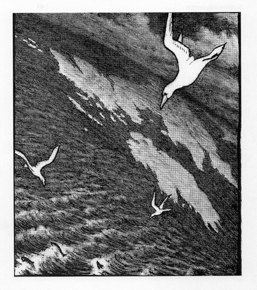 McNeillie’s original ‘Archipelago’ book cover etching.