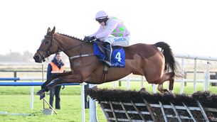 <p>Allegorie De Vassy and Sean O'Keeffe in action at Fairyhouse. Picture: Healy Racing</p>