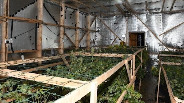 A photo of the grow house in Donegal. Pic: Garda Info in Twitter