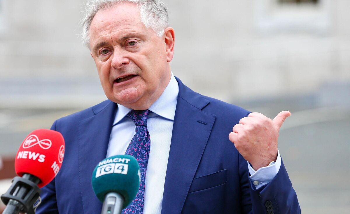 'I think some senior managers feel [outsourcing] insulates them, because it’s somebody else’s responsibility to make the recommendation, not them,' says former minister Brendan Howlin of the Labour Party Picture: Damien Storan