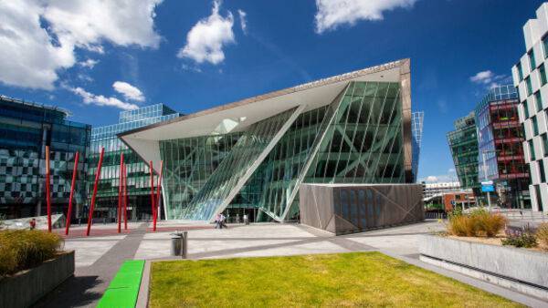 Gardaí investigating as crew of The Lion King subjected to 'vile' racist abuse after Dublin show