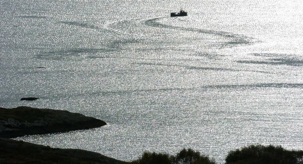 EU wants ban on fishing in areas with vulnerable ecosystems
